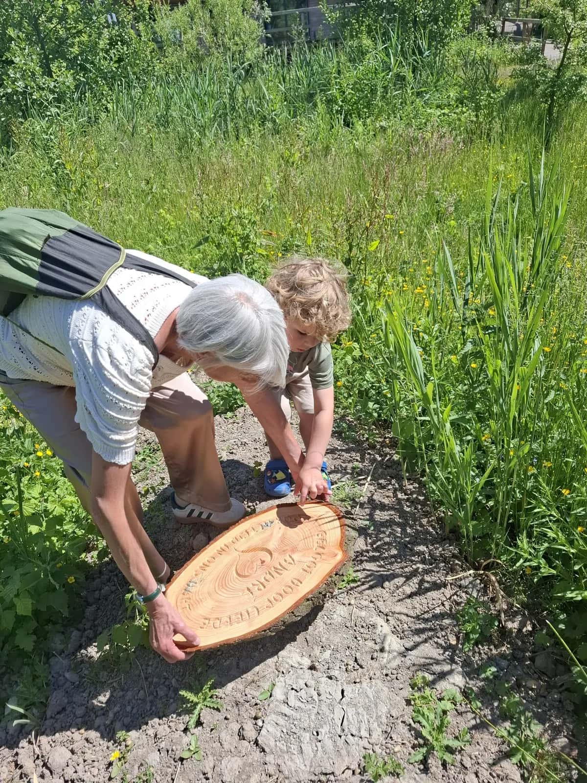 Een boomschijf wordt neergelegd op de rustplaats in de natuur