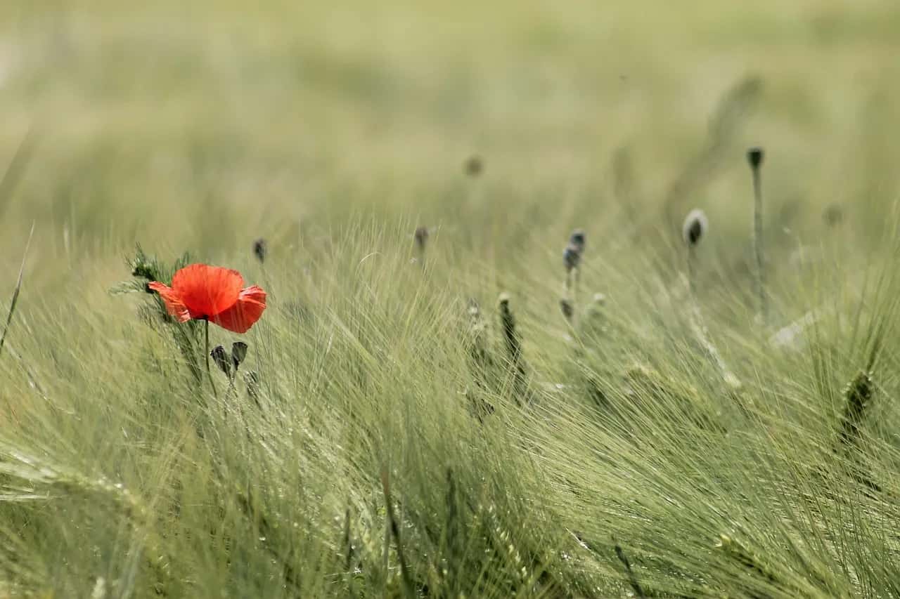 Foto bij ‘In een tijd vol zorgen, een hele zorg minder’