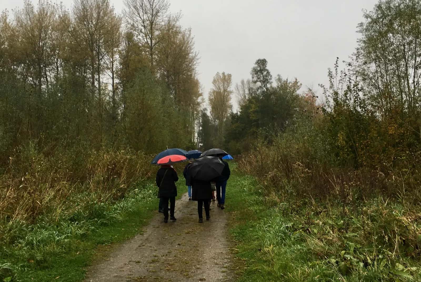 Foto bij ‘De regen kwam met bakken uit de hemel’
