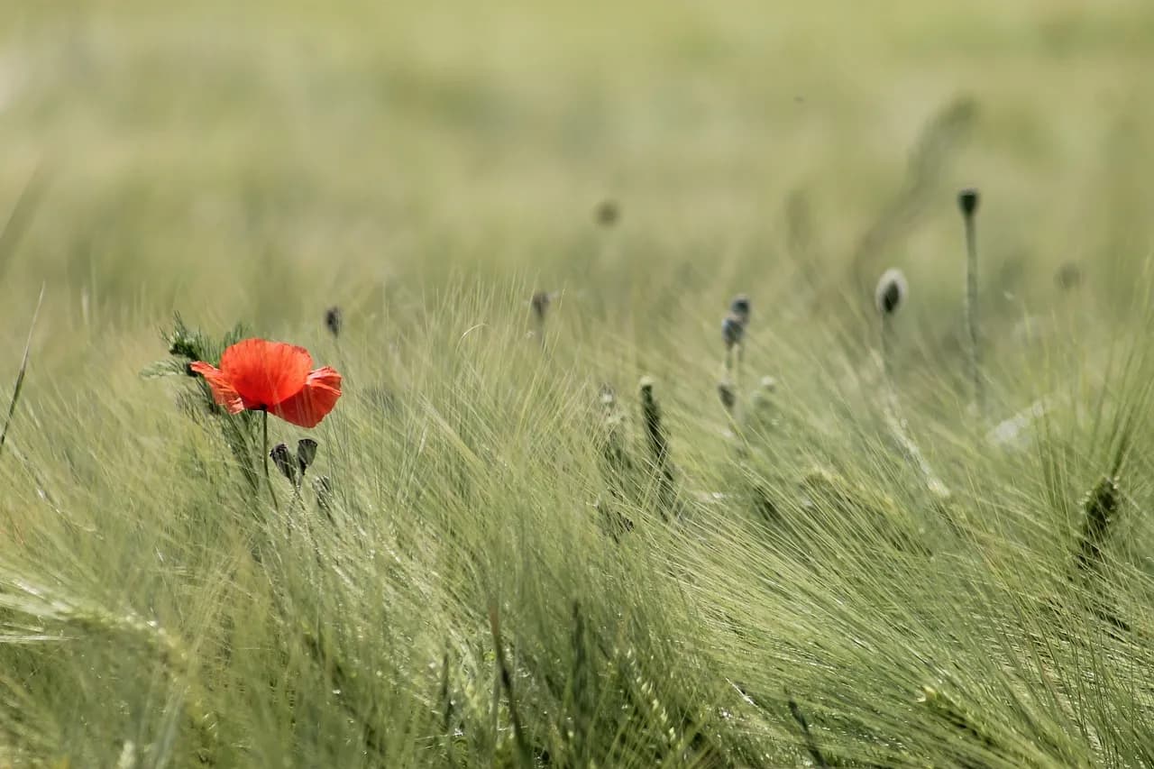Foto bij ‘In een tijd vol zorgen, een hele zorg minder’