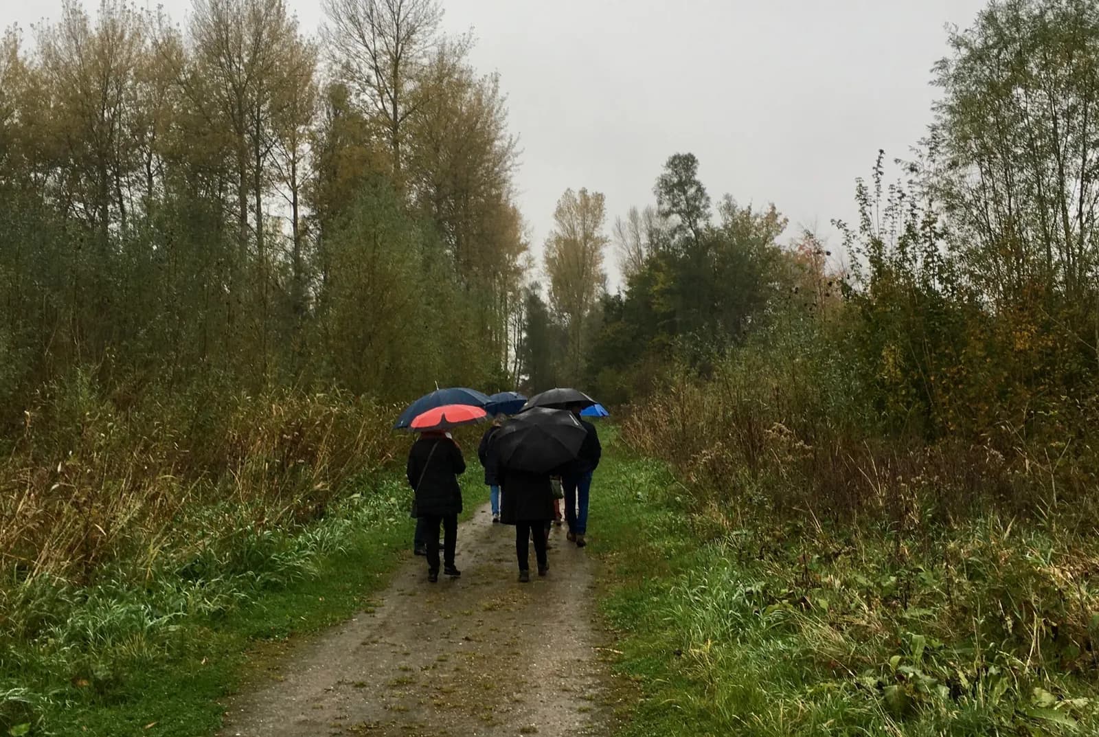 Foto bij ‘De regen kwam met bakken uit de hemel’